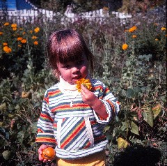 Hilary Welbourne; Garden Travel Van Trip